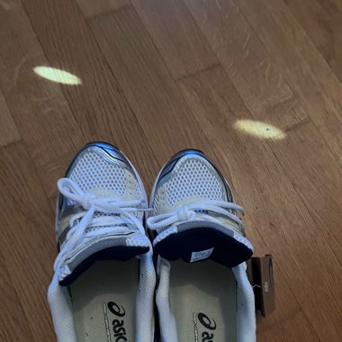 Asics Kayano 14