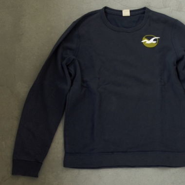 Hollister Sweatshirt 