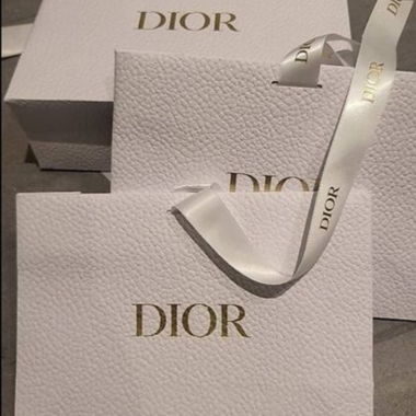NEW Christian Dior Gift Bag