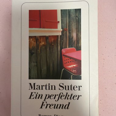 Ein perfekter Freund Buch