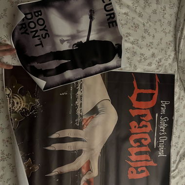 Entrambi i poster