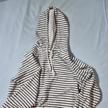 cropped Hoodie