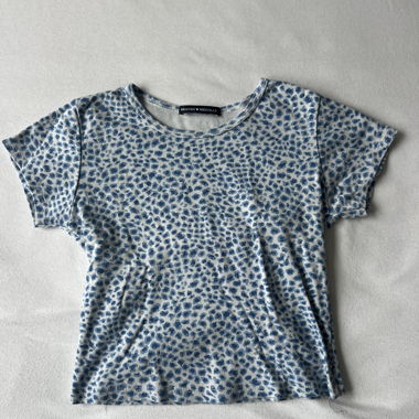 Brandy Melville Crop T-Shirt