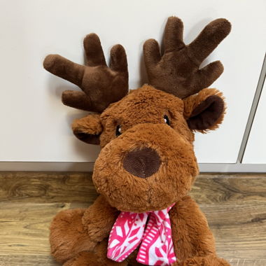 bouillotte Peluche