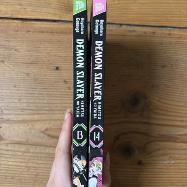 Demon Slayer Manga Volumes 13 and 14