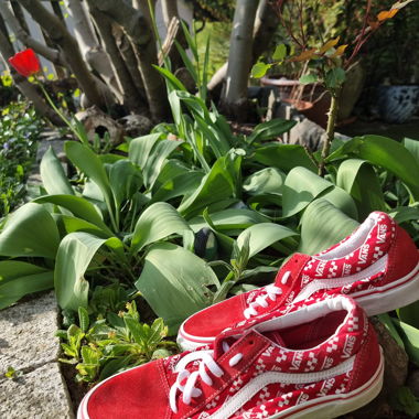 VANS Schuhe
