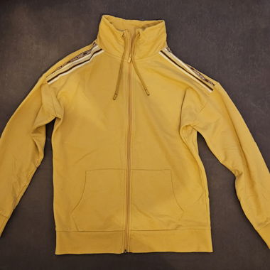 Yellow Jacket