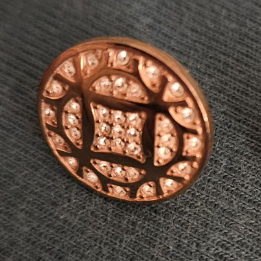 Ohrstecker fossil