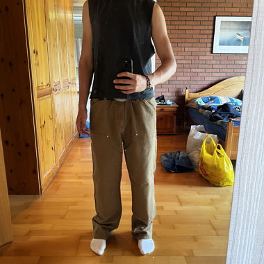 Carhartt Double Knee Pants Preis auf VB
