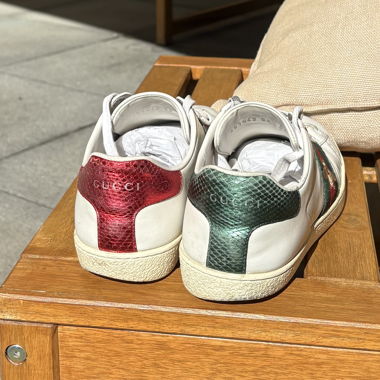 Sneakers Gucci Ace