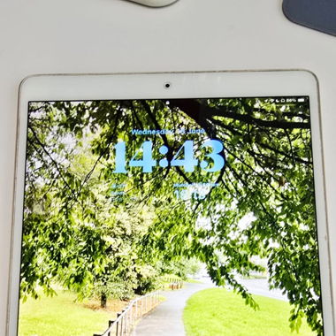 ipad pro 10.5 inch (wifi&4g) 256 gb & apple pencil