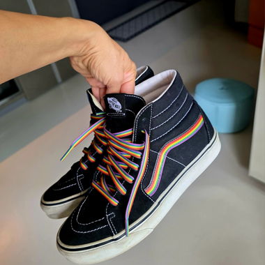 Vans Sk8- High boot  – Pride Edition