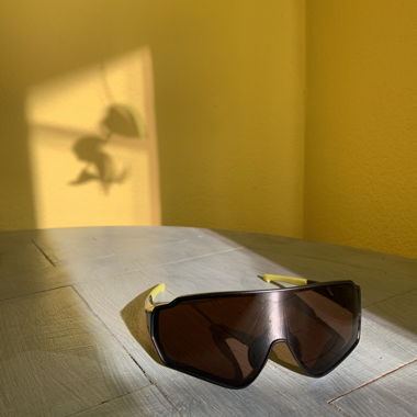 AWSON Fahrradbrille – limitierte Edition „Lion“