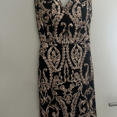 Embroidered Mini Dress
