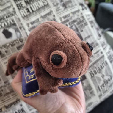 "Chocogrenouille" Plush