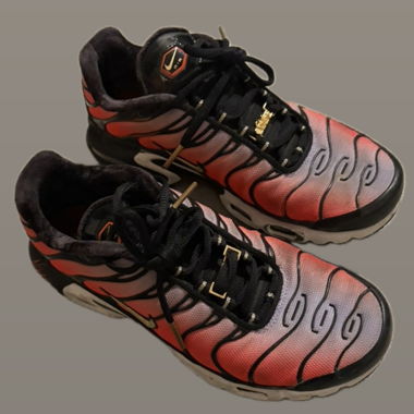 Nike Tns Air Max Shoes