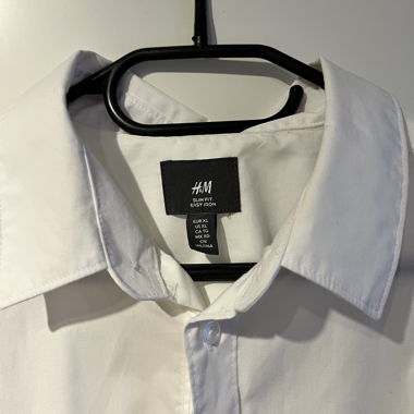 Camicia