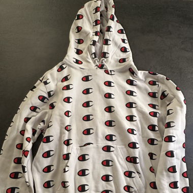 Champion Logo Hoodie