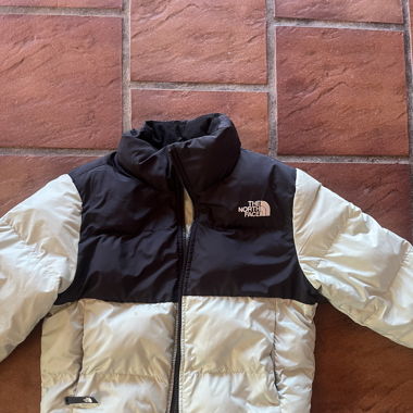 the north face jacket