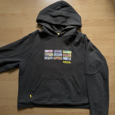Systemic Hoodie