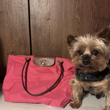 Borsa Longchamp