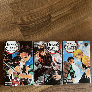 Band 1-2-3 von Demon Slayer