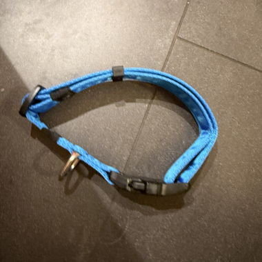 Blue dog collar (new)