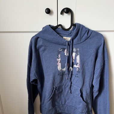 Hollister Pulli