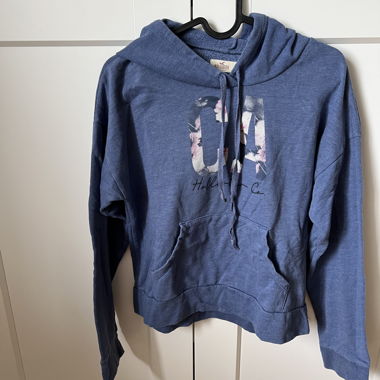 Hollister Pulli