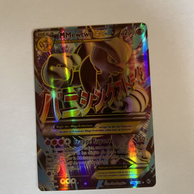 POKÉMON CARDS (EX) SET