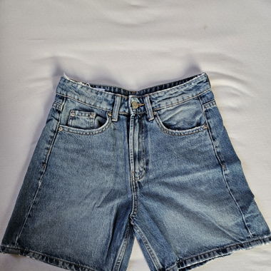 Zara Shorts