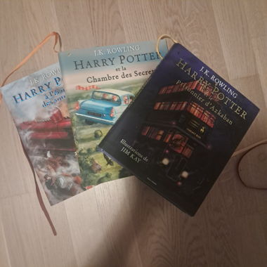Set Harry Potter illustrati volumi 1-3 (FR)