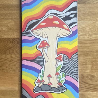 Skateboard set