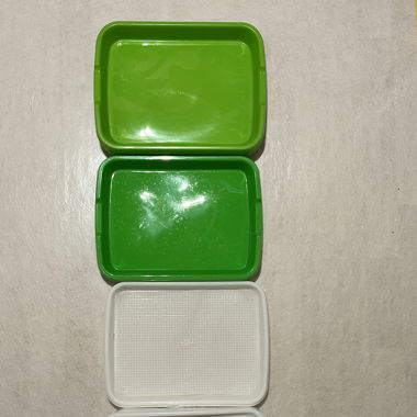 Microgreens Tray
