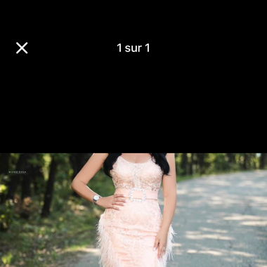 Robe rose