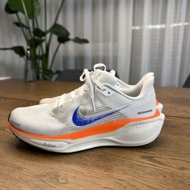 Nike Pegasus 41