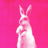 Bunnyprivatecloset