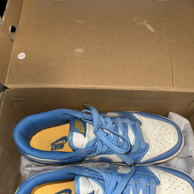 Nike Dunks Blue