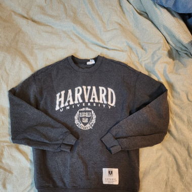 Pullover, Hoody