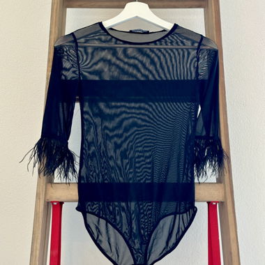 Transparenter Body mit Federn