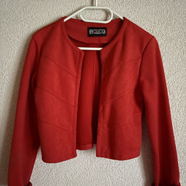 Roter Blaser