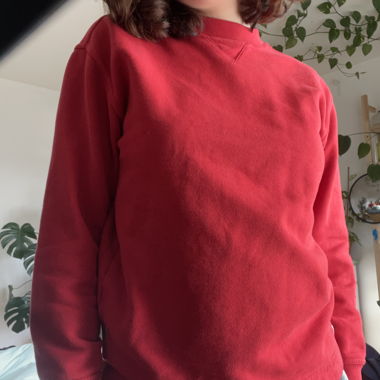 Roter Pullover 
