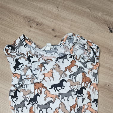 Shirt horse