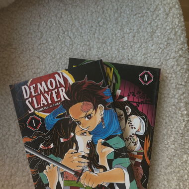 Demon Slayer Mangas