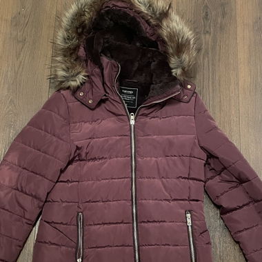 Veste de chicorée