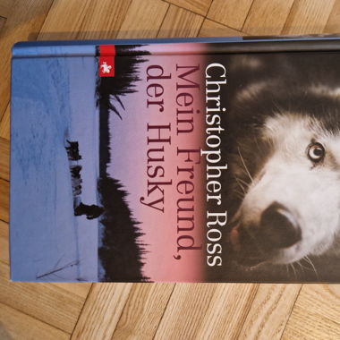 Mein Freund, der Husky