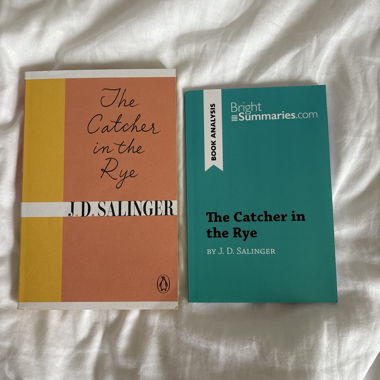 english novel with book analysis 