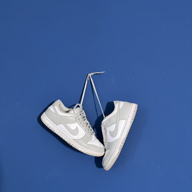 Dunk Retro low