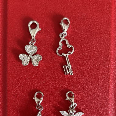 Detachable charms 