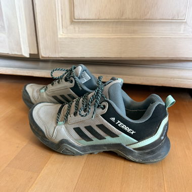 Adidas Terrex Hiking Shoes